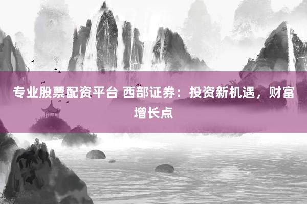 专业股票配资平台 西部证券：投资新机遇，财富增长点