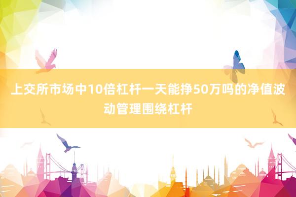 上交所市场中10倍杠杆一天能挣50万吗的净值波动管理围绕杠杆