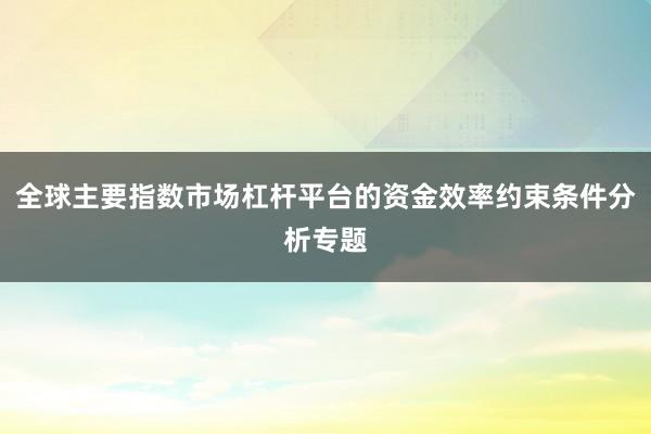 全球主要指数市场杠杆平台的资金效率约束条件分析专题