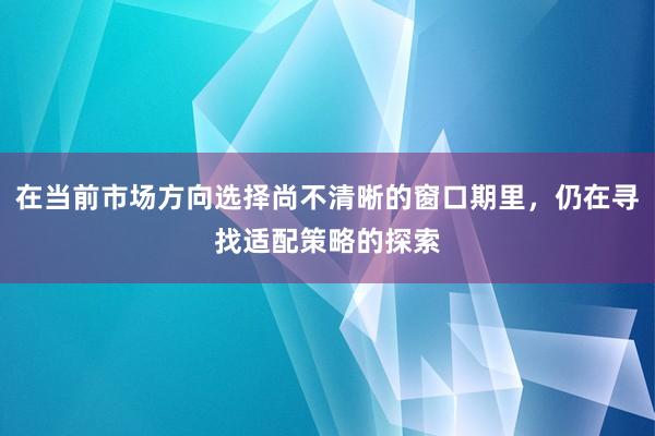 在当前市场方向选择尚不清晰的窗口期里，仍在寻找适配策略的探索