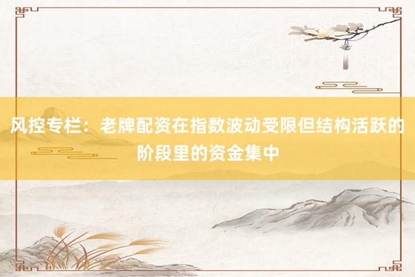 风控专栏：老牌配资在指数波动受限但结构活跃的阶段里的资金集中