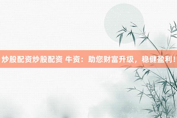 炒股配资炒股配资 牛资：助您财富升级，稳健盈利！