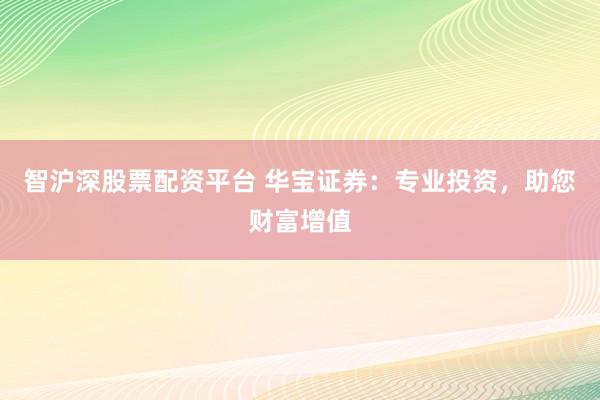 智沪深股票配资平台 华宝证券：专业投资，助您财富增值