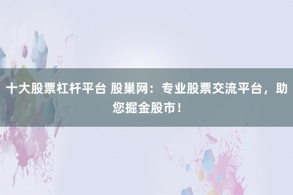 十大股票杠杆平台 股巢网：专业股票交流平台，助您掘金股市！