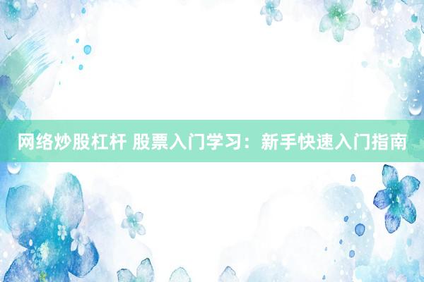 网络炒股杠杆 股票入门学习：新手快速入门指南